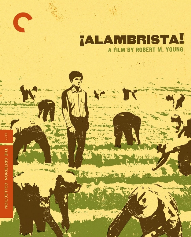 Alambrista - The Criterion Collection