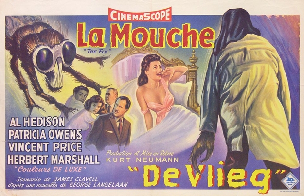 La mouche noire - affiche belge