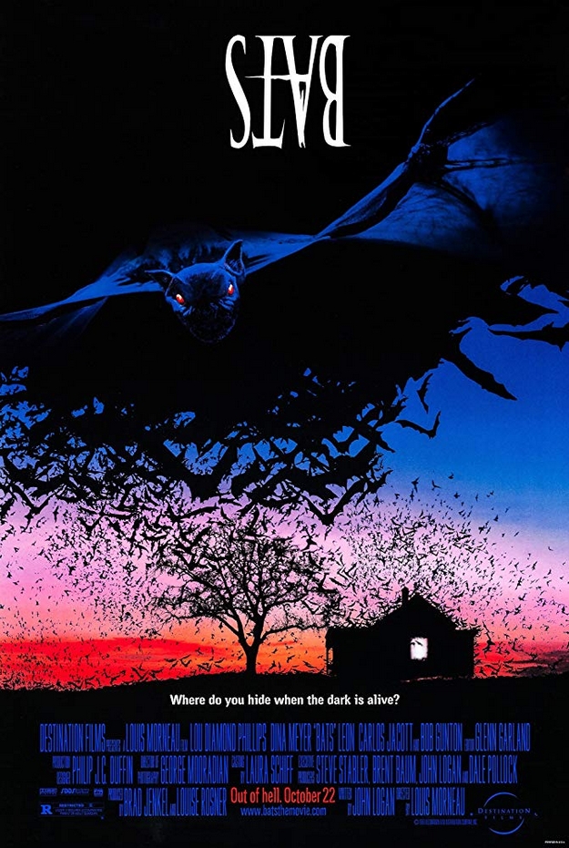 La nuit des chauves-souris - affiche