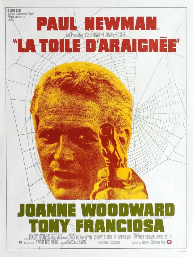 La toile d'araignée - affiche française